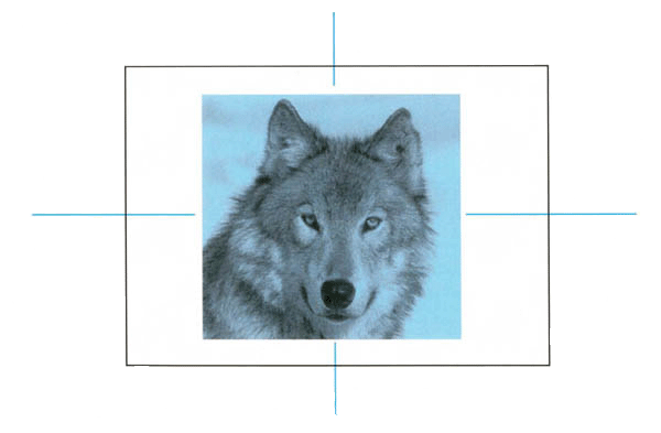 BlueWolf Image